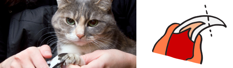 스크린샷 2019-03-05 오전 9.31.08.png