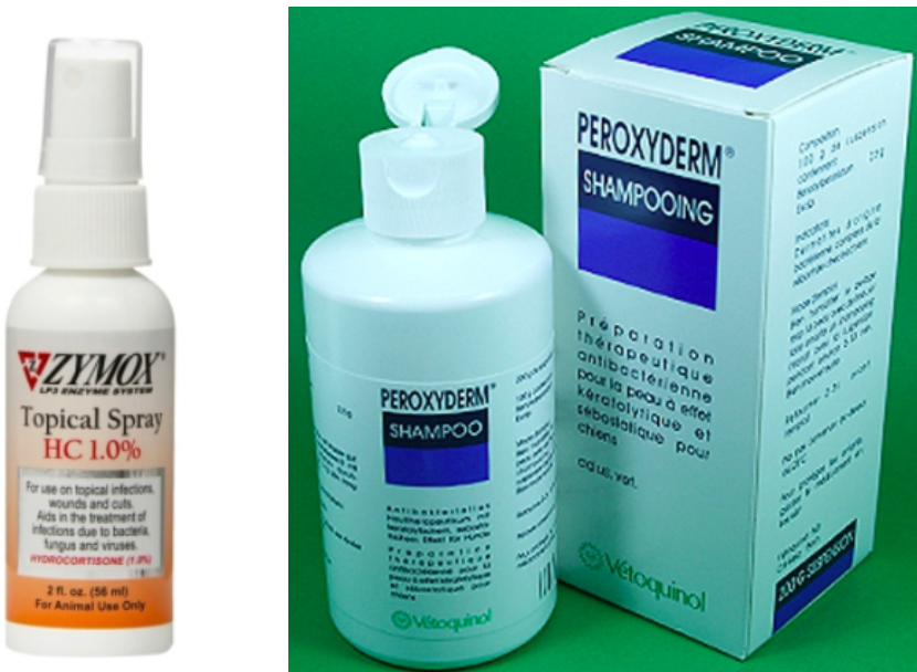 스크린샷 2019-02-13 오전 11.09.45.png