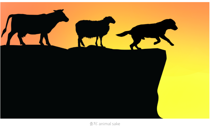 스크린샷 2019-02-13 오전 10.29.49.png