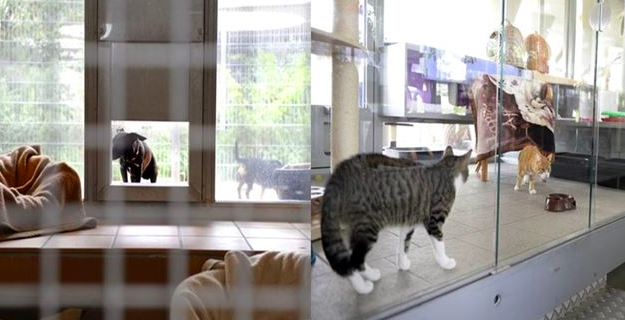 스크린샷 2019-02-13 오전 10.52.23.png