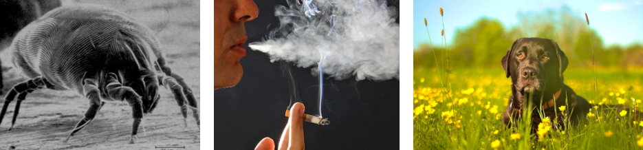 스크린샷 2019-02-13 오전 11.09.17.png