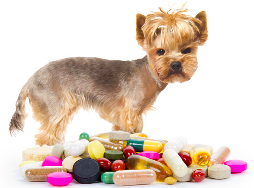 스크린샷 2019-02-13 오전 11.18.50.png