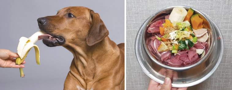 스크린샷 2019-04-14 오전 12.31.29.png