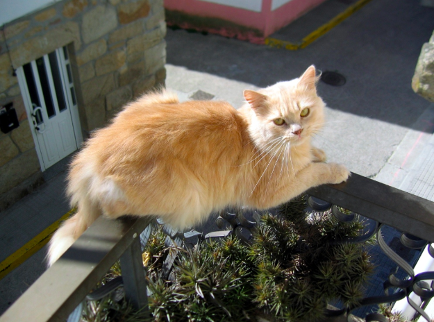 스크린샷 2019-02-13 오전 10.29.20.png