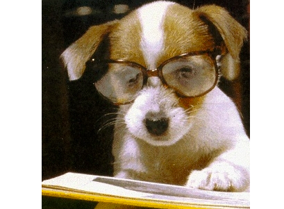 스크린샷 2019-02-13 오전 11.18.57.png