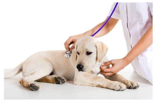 스크린샷 2019-02-13 오전 10.25.41.png