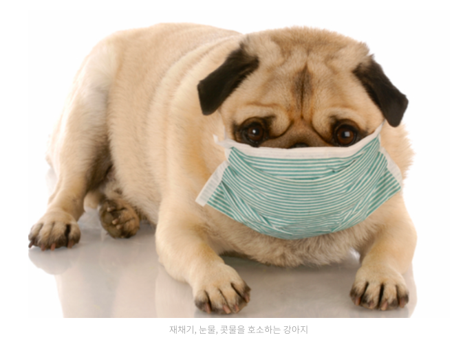 스크린샷 2019-02-13 오전 10.19.03.png