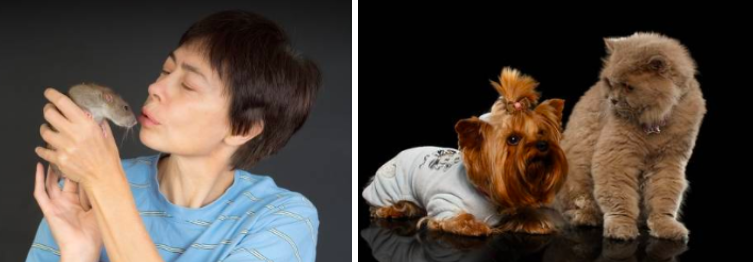 스크린샷 2019-03-15 오후 3.26.43.png