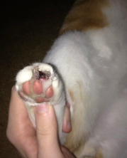 스크린샷 2019-03-05 오전 9.23.08.png