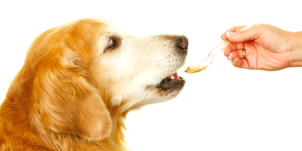 스크린샷 2019-02-13 오전 11.18.41.png