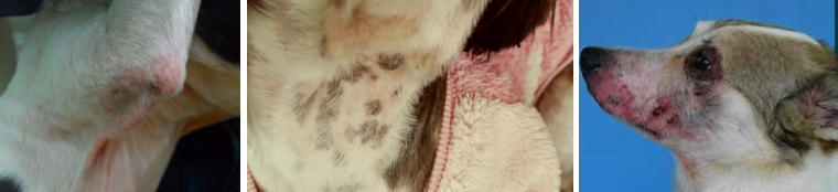 스크린샷 2019-02-27 오전 9.56.36.png