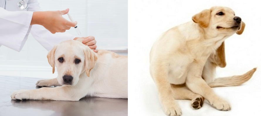 스크린샷 2019-02-13 오전 11.00.04.png