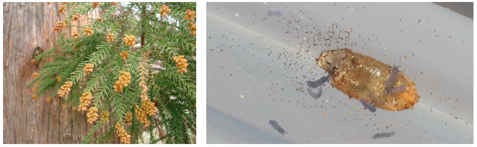 스크린샷 2019-02-13 오전 10.18.29.png