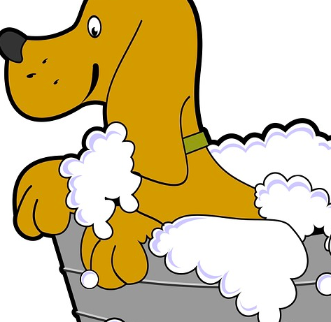 스크린샷 2019-02-13 오전 11.08.56.png