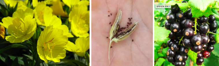 스크린샷 2019-02-27 오전 9.54.29.png