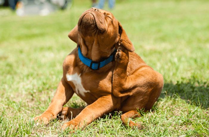 스크린샷 2019-02-13 오전 11.00.34.png