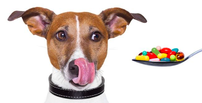 스크린샷 2019-02-27 오전 9.48.14.png