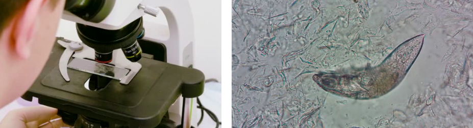 스크린샷 2019-02-13 오전 11.06.17.png