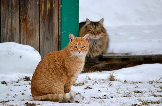 스크린샷 2019-02-13 오전 10.28.53.png