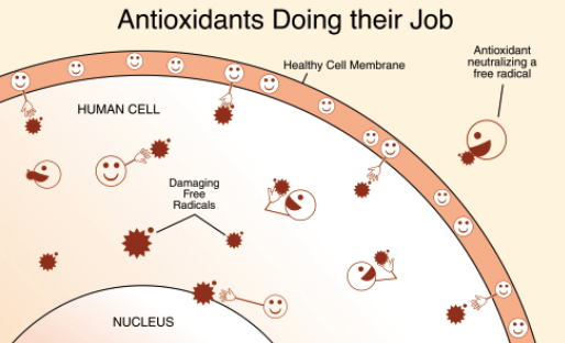 스크린샷 2019-04-14 오전 12.24.39.png