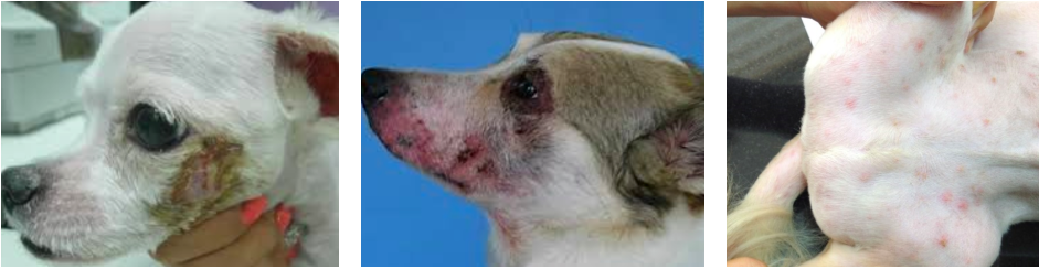 스크린샷 2019-02-13 오전 10.41.02.png