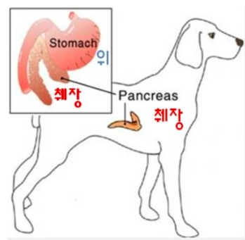 스크린샷 2019-02-27 오전 9.49.08.png