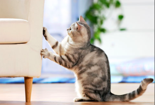 스크린샷 2019-03-05 오전 9.25.00.png