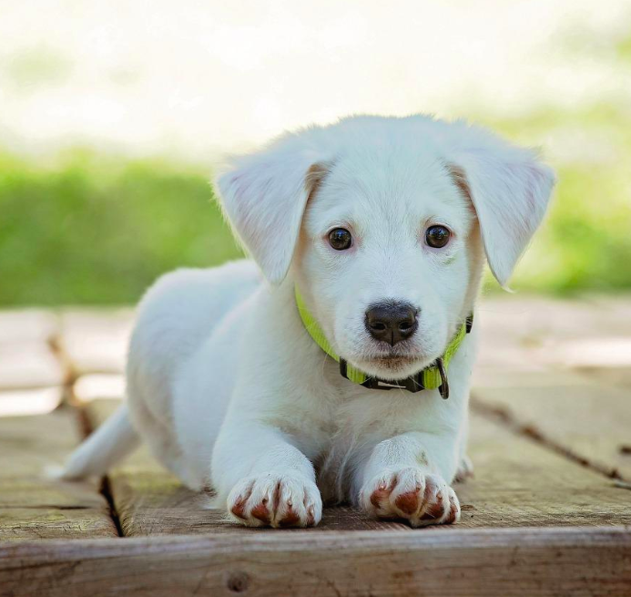 스크린샷 2019-02-13 오전 10.24.35.png