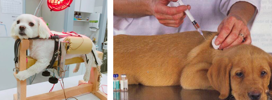 스크린샷 2019-02-13 오전 11.19.14.png