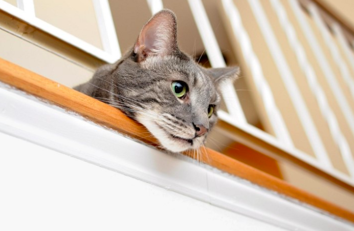 스크린샷 2019-02-13 오전 10.29.26.png