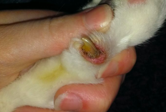 스크린샷 2019-03-05 오전 9.23.04.png