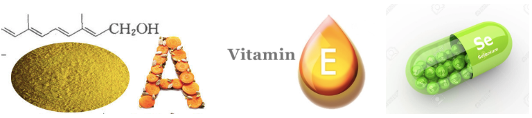 스크린샷 2019-04-14 오전 12.27.58.png