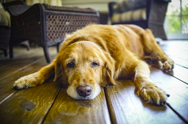 스크린샷 2019-02-13 오전 10.40.25.png