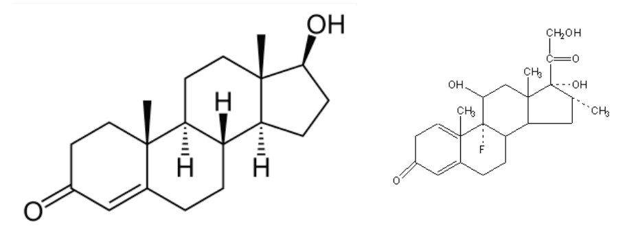 스크린샷 2019-02-13 오전 10.40.45.png