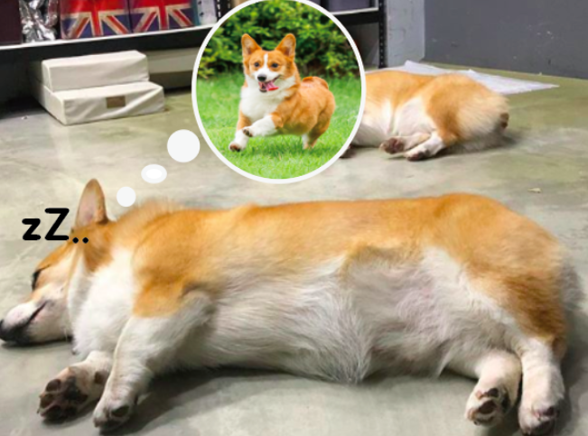 스크린샷 2019-03-15 오후 3.36.17.png