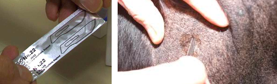 스크린샷 2019-02-13 오전 11.06.13.png