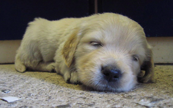 스크린샷 2019-03-15 오후 3.35.20.png