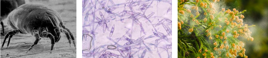 스크린샷 2019-02-13 오전 10.11.21.png