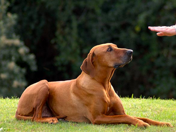 스크린샷 2019-02-13 오전 11.00.29.png