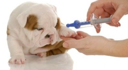 스크린샷 2019-04-27 오후 3.05.59.png