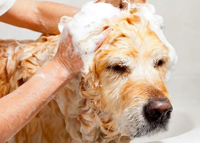 스크린샷 2019-04-27 오후 3.05.52.png