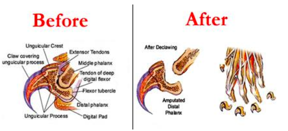 스크린샷 2019-03-05 오전 9.21.26.png