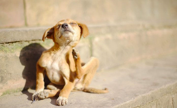 스크린샷 2019-02-13 오전 10.11.15.png