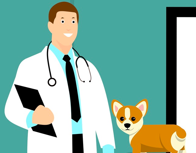 스크린샷 2019-02-13 오전 10.46.58.png