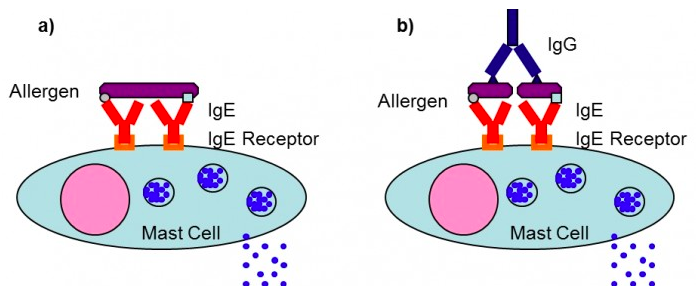 스크린샷 2019-02-13 오전 10.59.56.png