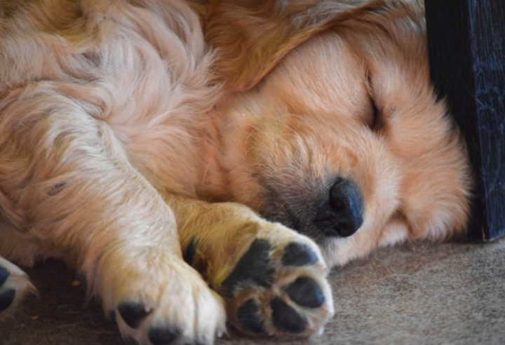 스크린샷 2019-03-15 오후 3.35.13.png