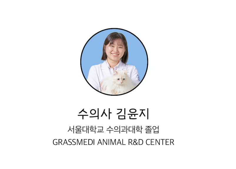 스크린샷 2022-08-12 오후 11.45.32.png