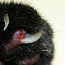 스크린샷 2019-03-05 오전 9.22.59.png