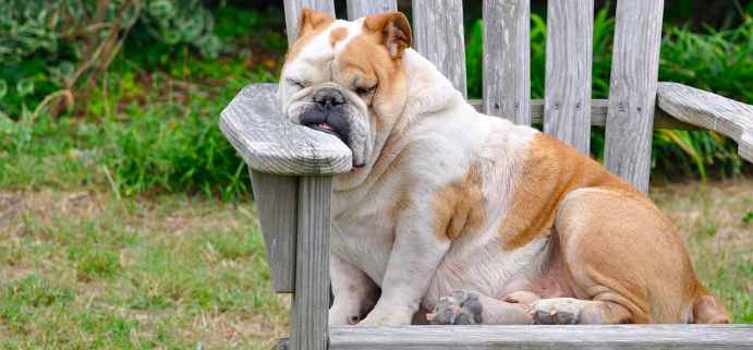 스크린샷 2019-02-13 오전 10.47.09.png