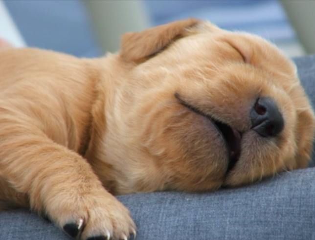 스크린샷 2019-03-15 오후 3.35.05.png